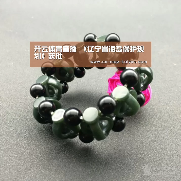 开云体育直播_《辽宁省海岛保护规划》获批(图1) 开云体育官方入口
