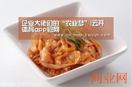 开云体育网页版