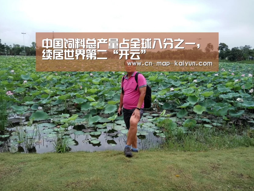 开云体育网页版